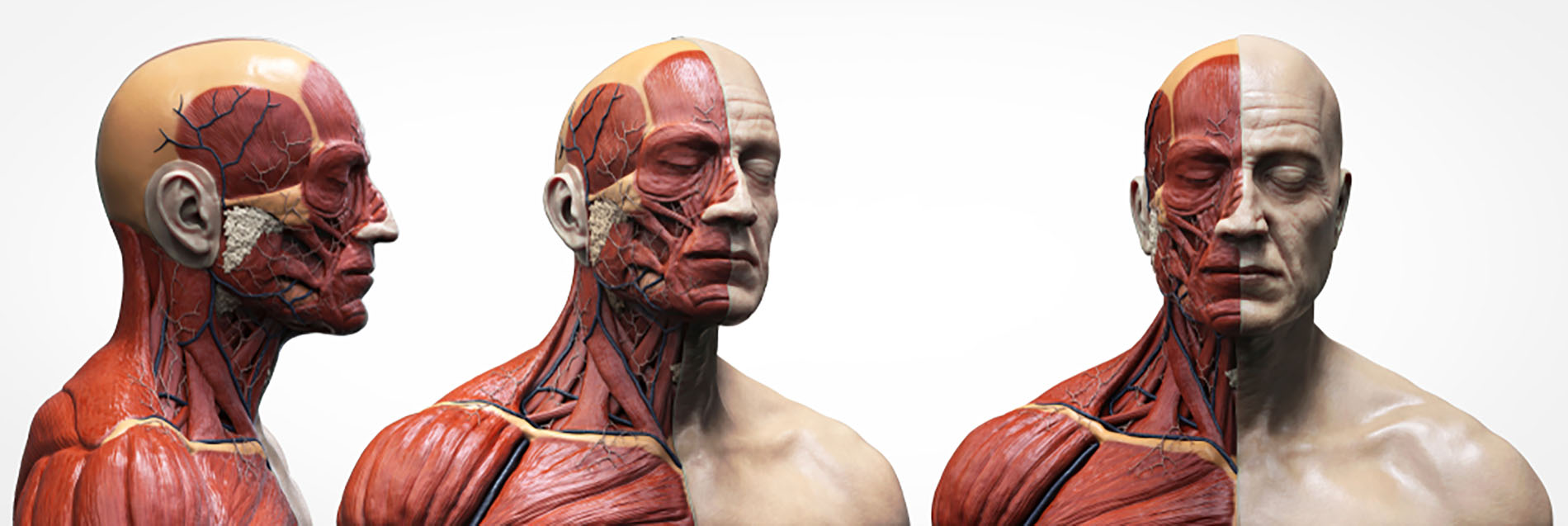 Human Digital Twins (HDT) gallery image 3