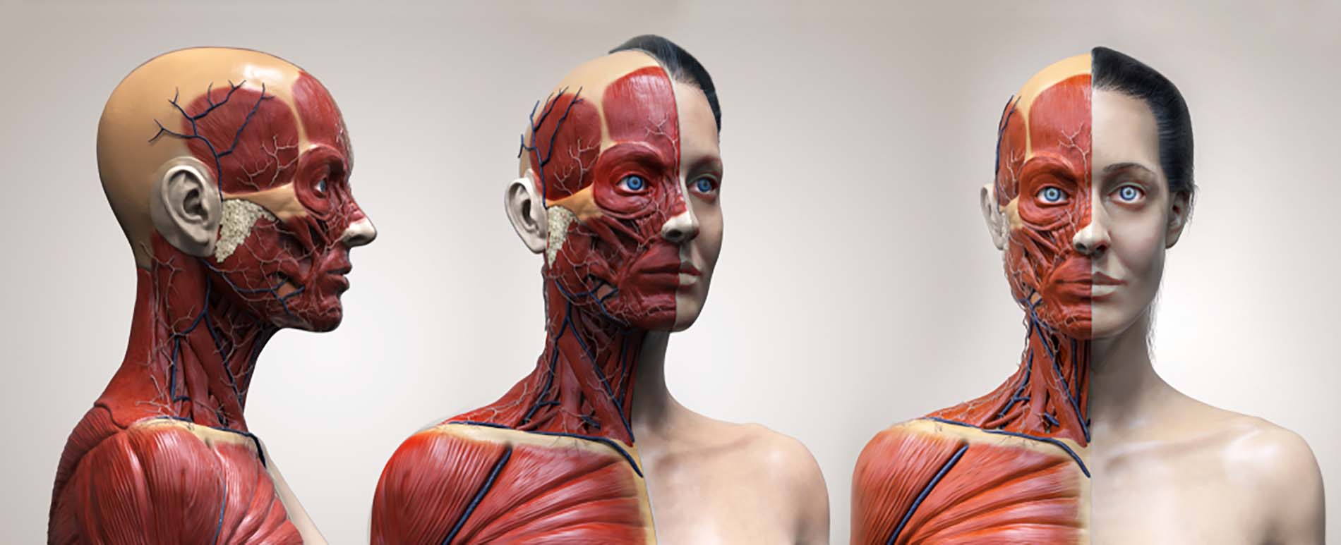 Human Digital Twins (HDT) gallery image 4